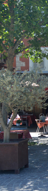 header links
